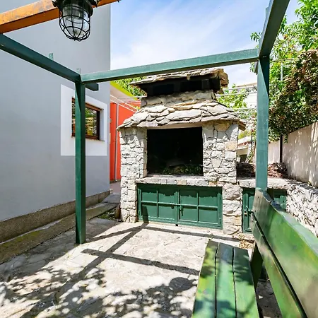 House Turtle Garden